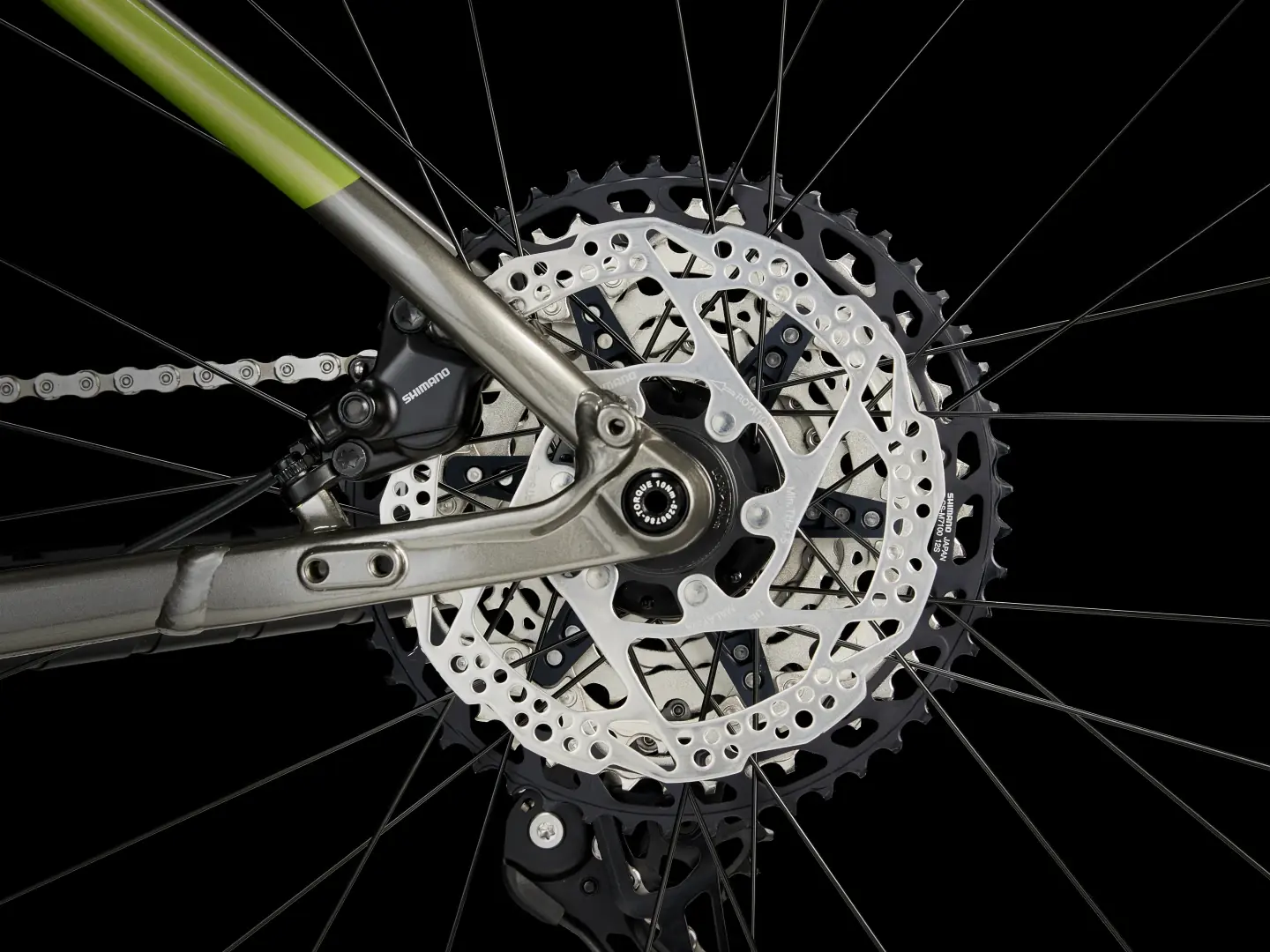Procaliber 8 - 2025 - Image 11