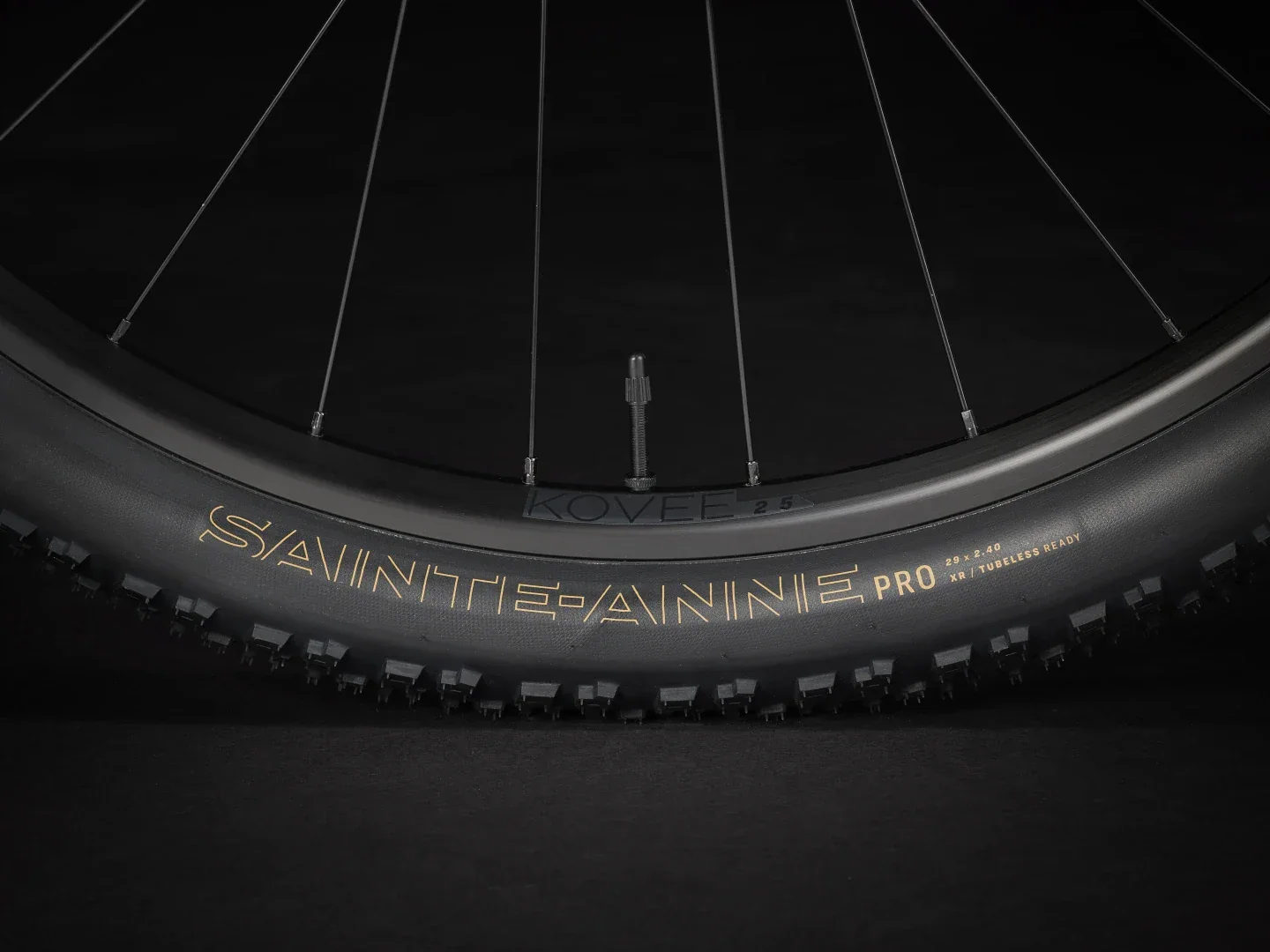 Procaliber 8 - 2025 - Image 15