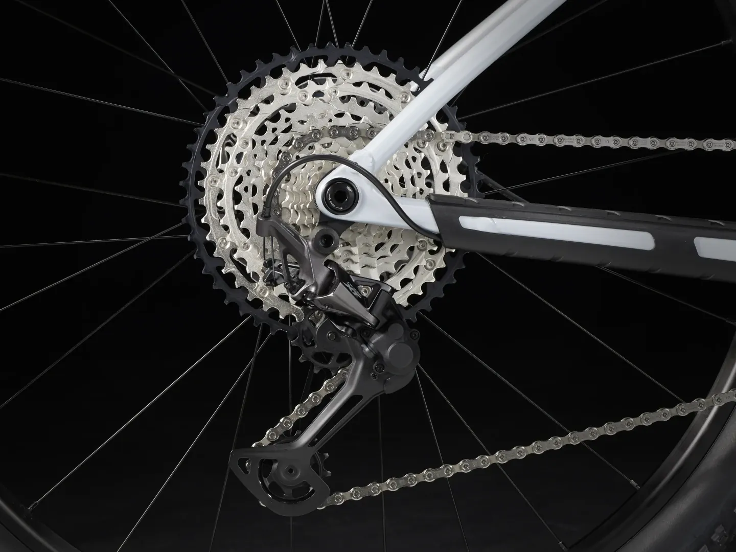 Procaliber 8 - 2025 - Image 16