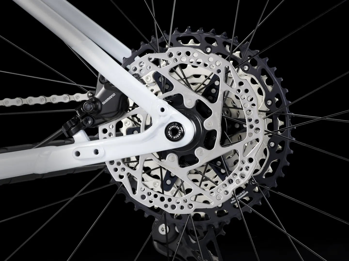 Procaliber 8 - 2025 - Image 19