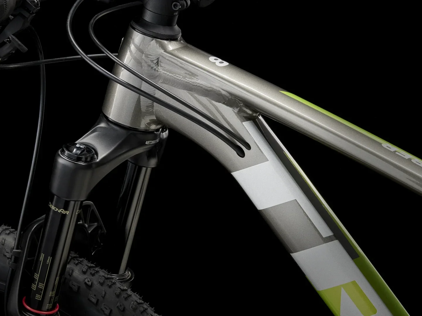 Procaliber 8 - 2025 - Image 7