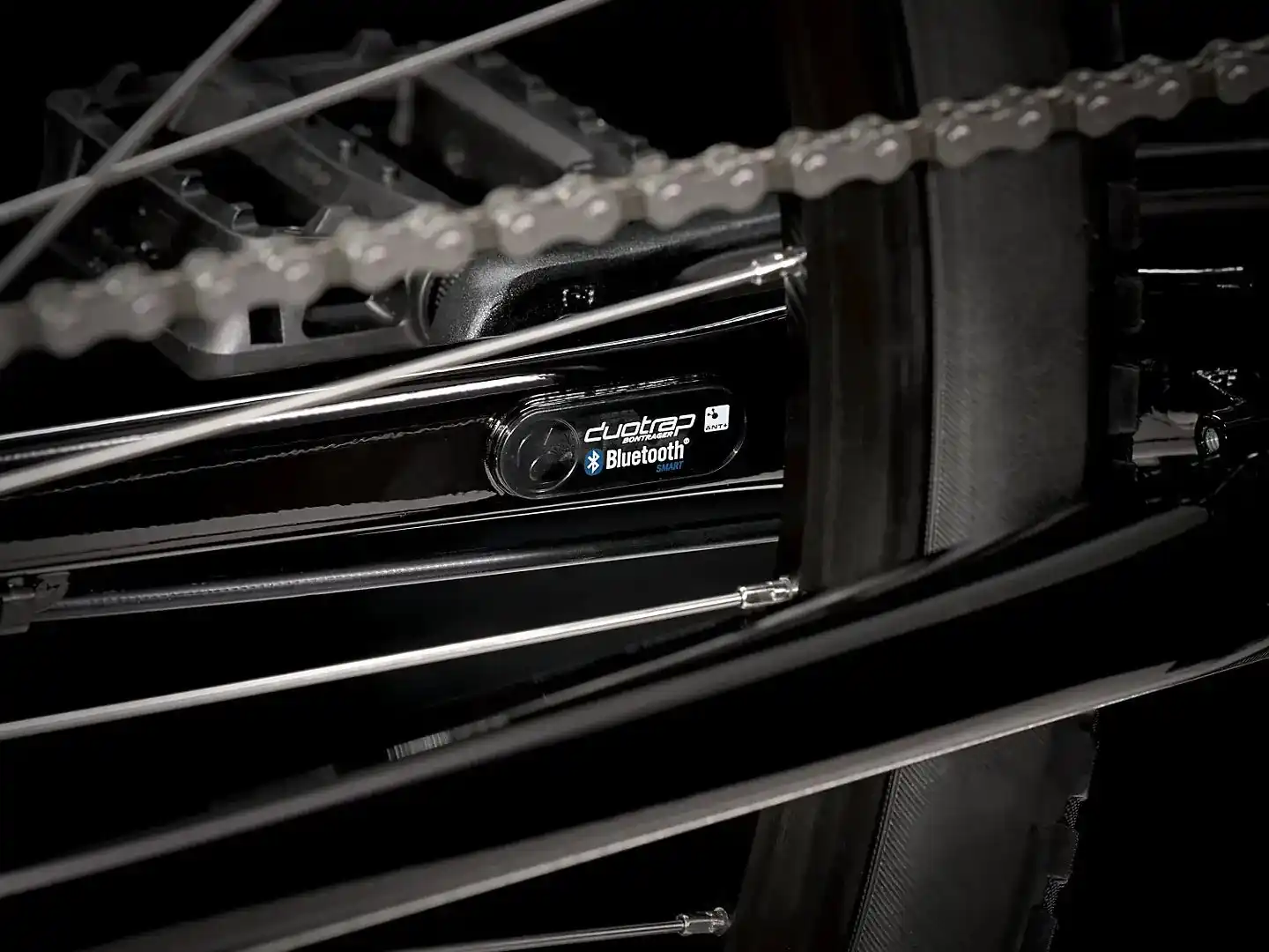 Verve 1 Disc - Image 4