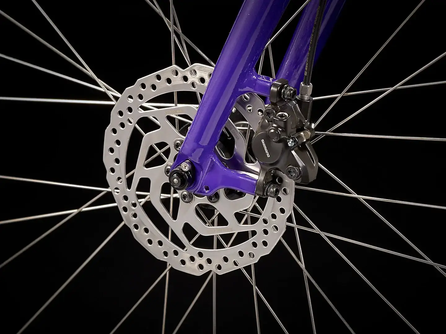Verve 3 Disc Lowstep Women's - Image 13