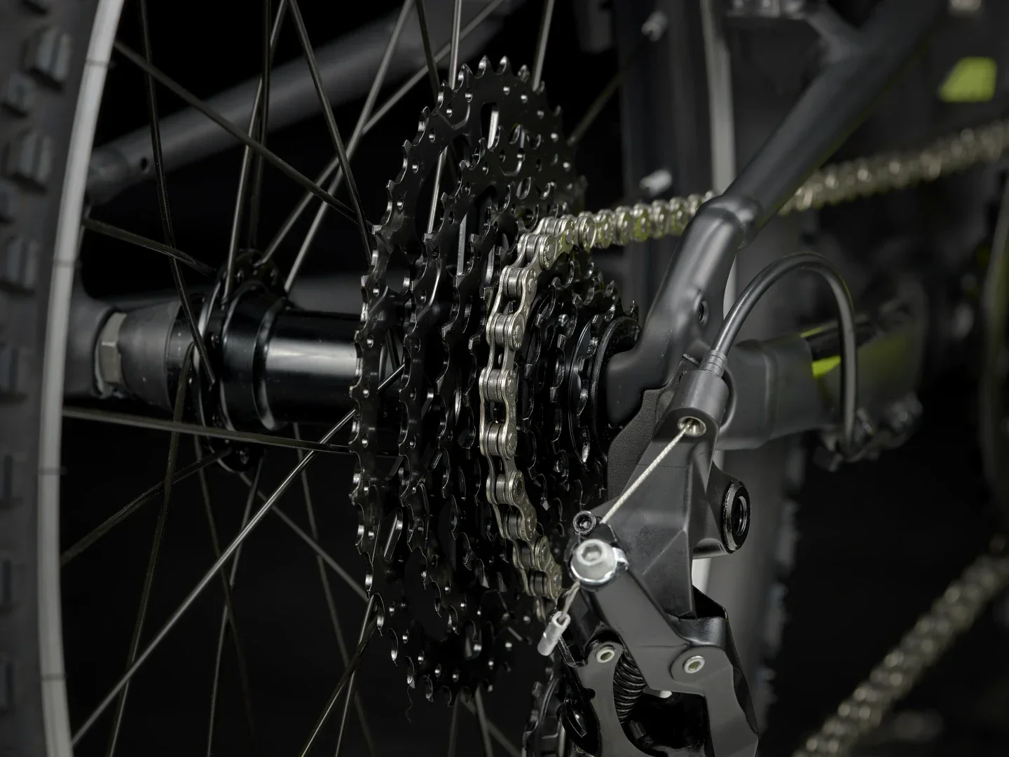 Wahoo 20 Path - Image 9