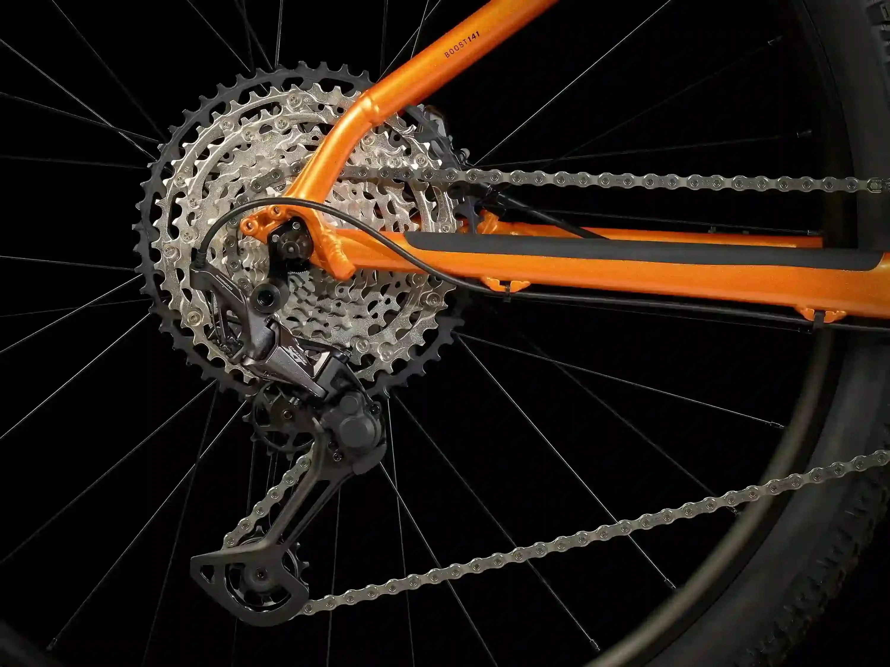 X-Caliber 9 - 2023 - Image 3